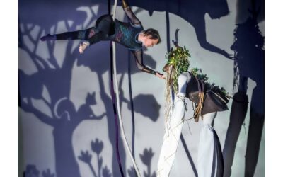 La Nuit d’Hibernation in pictures